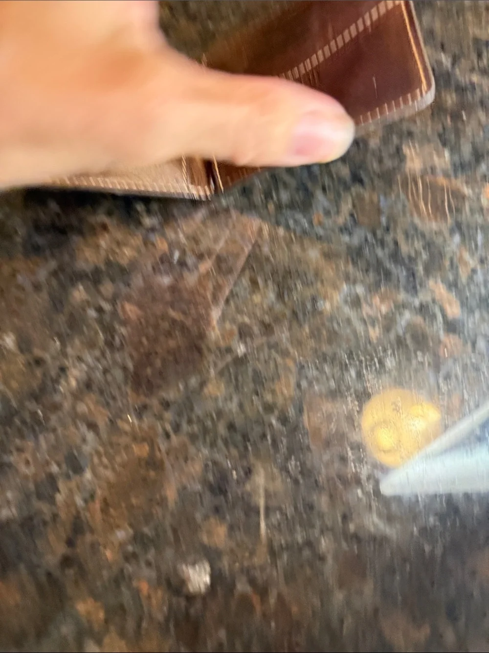 Fossil leather card